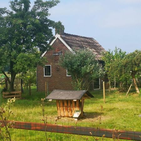 Trekkershut - Tiny House - Hikers Cottage Wijster Ngoại thất bức ảnh