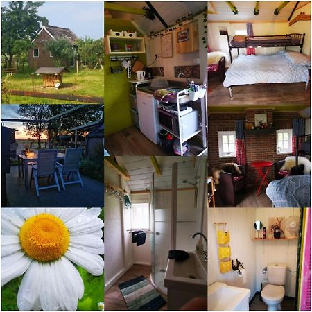 Trekkershut - Tiny House - Hikers Cottage Wijster Ngoại thất bức ảnh