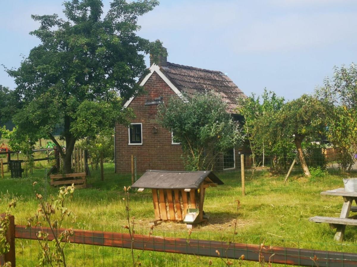 Trekkershut - Tiny House - Hikers Cottage Wijster Ngoại thất bức ảnh